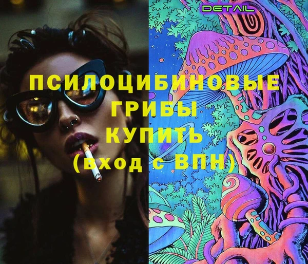 шишки Богданович